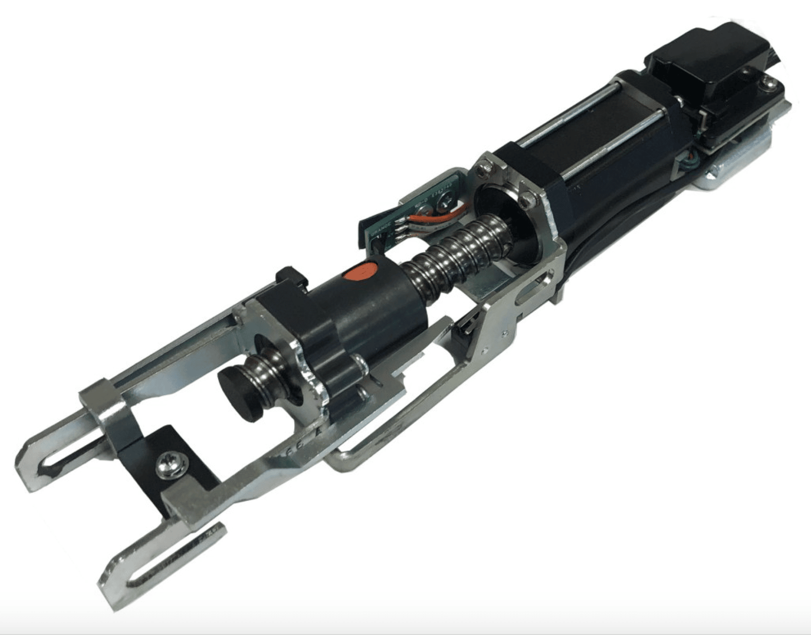 MLRK1-AR