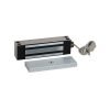 Dormakaba RCI 8380 GateMag