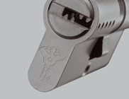 Euro Cylinder